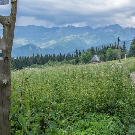 Panorama Tatr Otel Zakopane Dış mekan fotoğraf